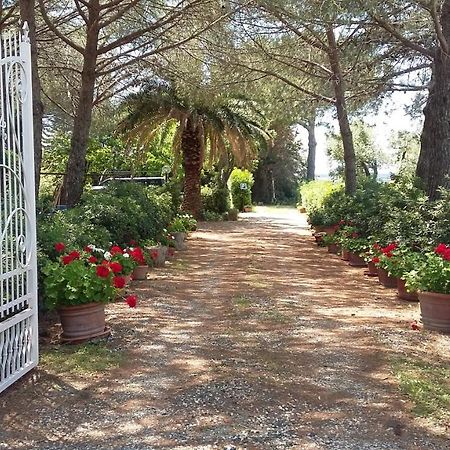 Campo Alle More Cecina  Luaran gambar