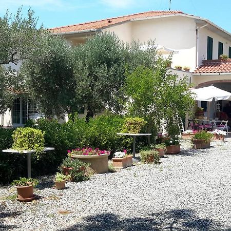 Campo Alle More Cecina  Luaran gambar