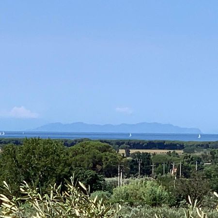Campo Alle More Cecina  Luaran gambar