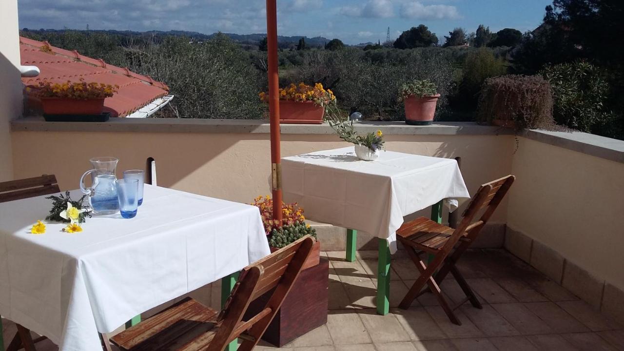 Campo Alle More Cecina  Luaran gambar