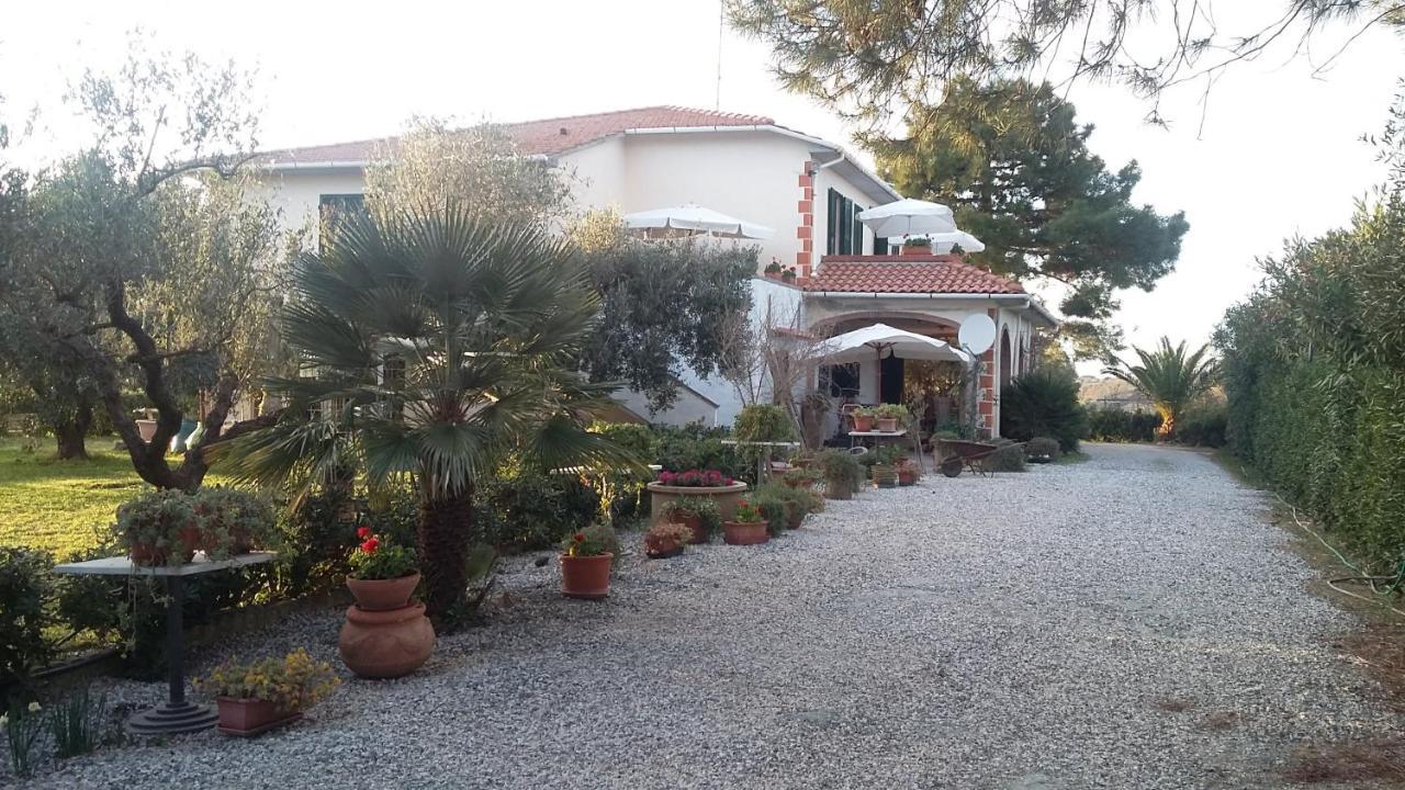 Campo Alle More Cecina  Luaran gambar