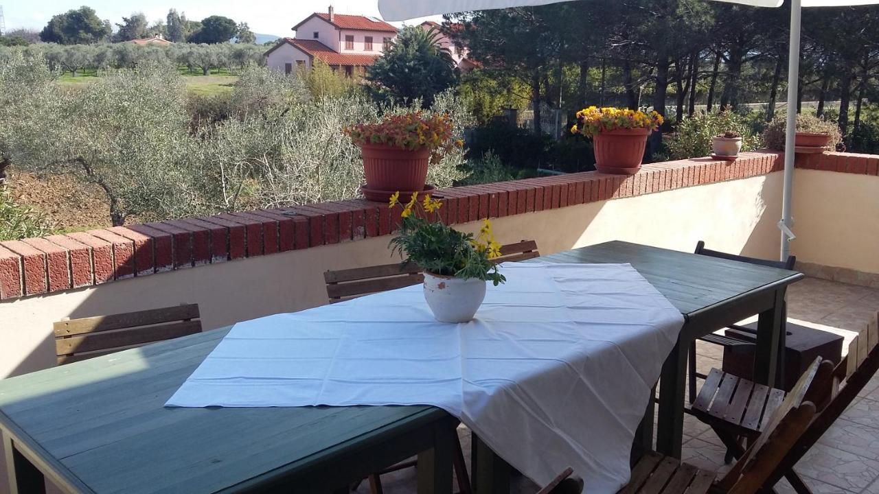Campo Alle More Cecina  Luaran gambar