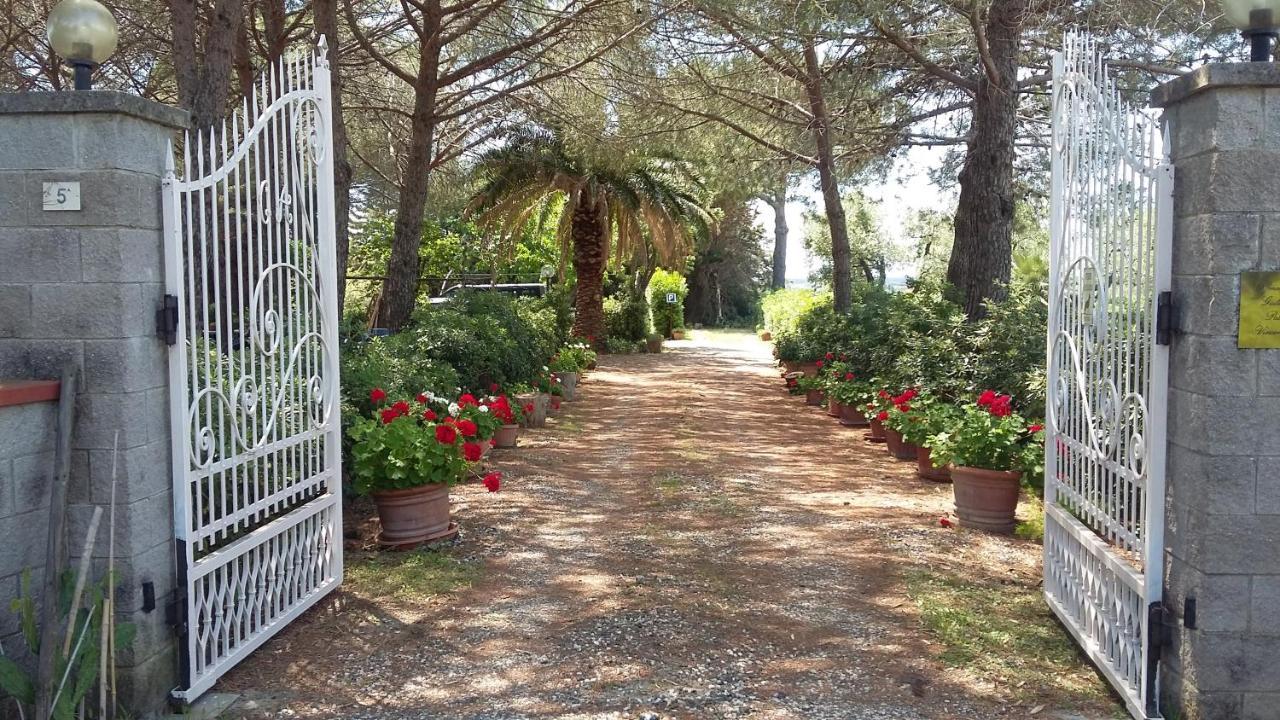 Campo Alle More Cecina  Luaran gambar