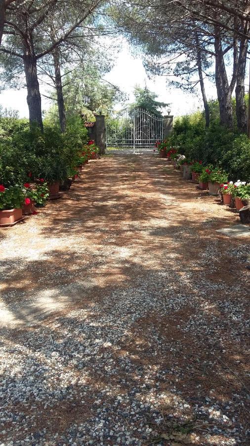 Campo Alle More Cecina  Luaran gambar