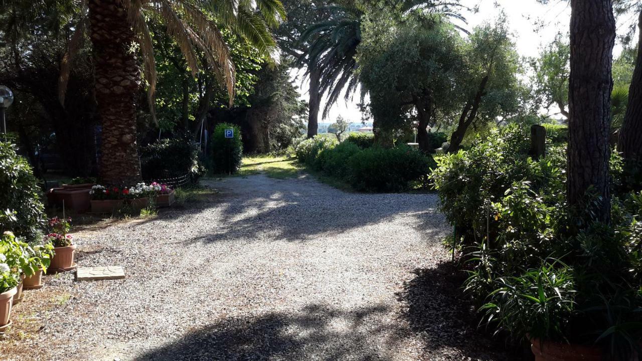 Campo Alle More Cecina  Luaran gambar