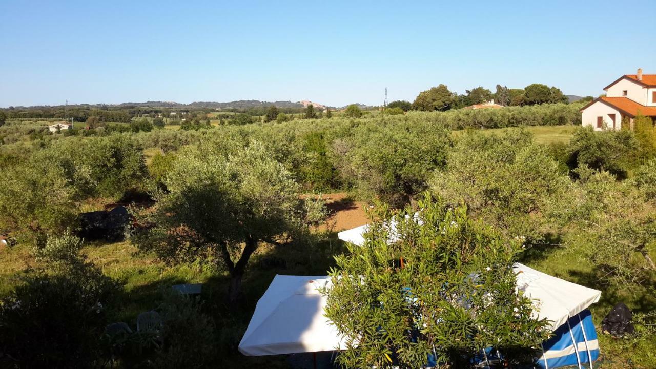 Campo Alle More Cecina  Luaran gambar
