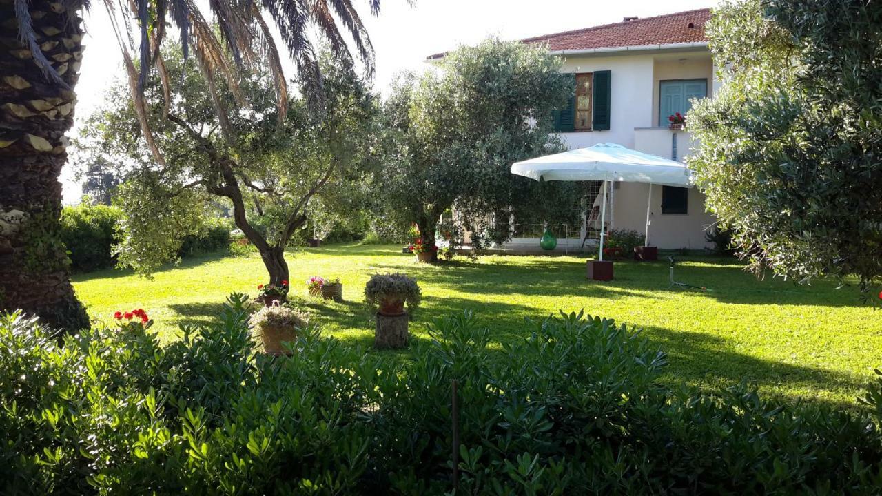 Campo Alle More Cecina  Luaran gambar