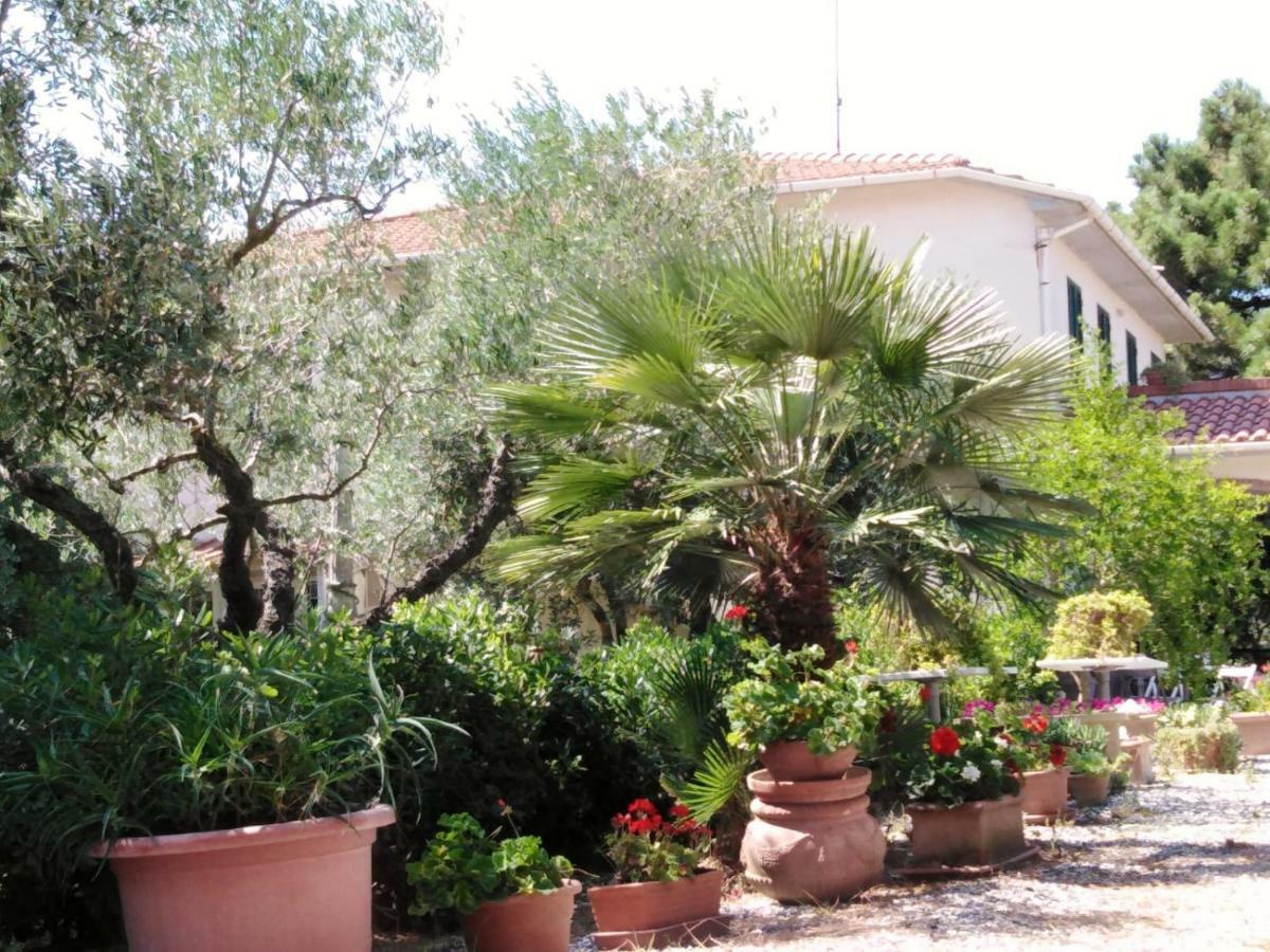 Campo Alle More Cecina  Luaran gambar
