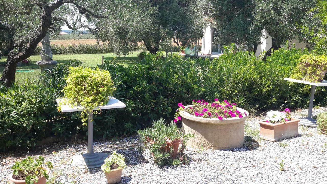 Campo Alle More Cecina  Luaran gambar