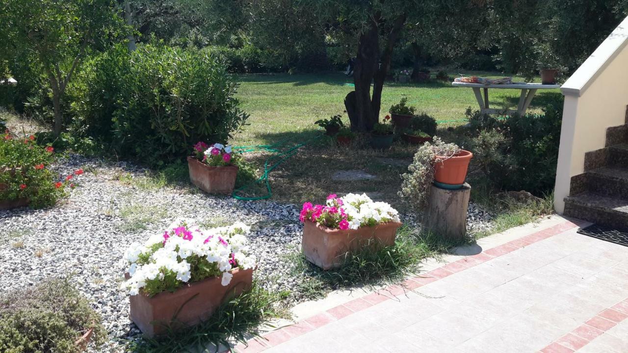 Campo Alle More Cecina  Luaran gambar