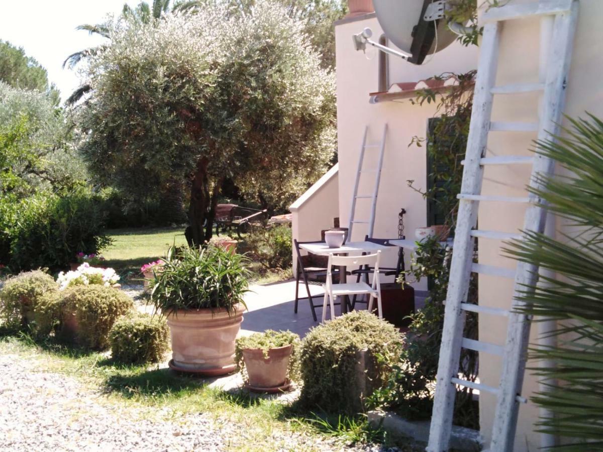 Campo Alle More Cecina  Luaran gambar