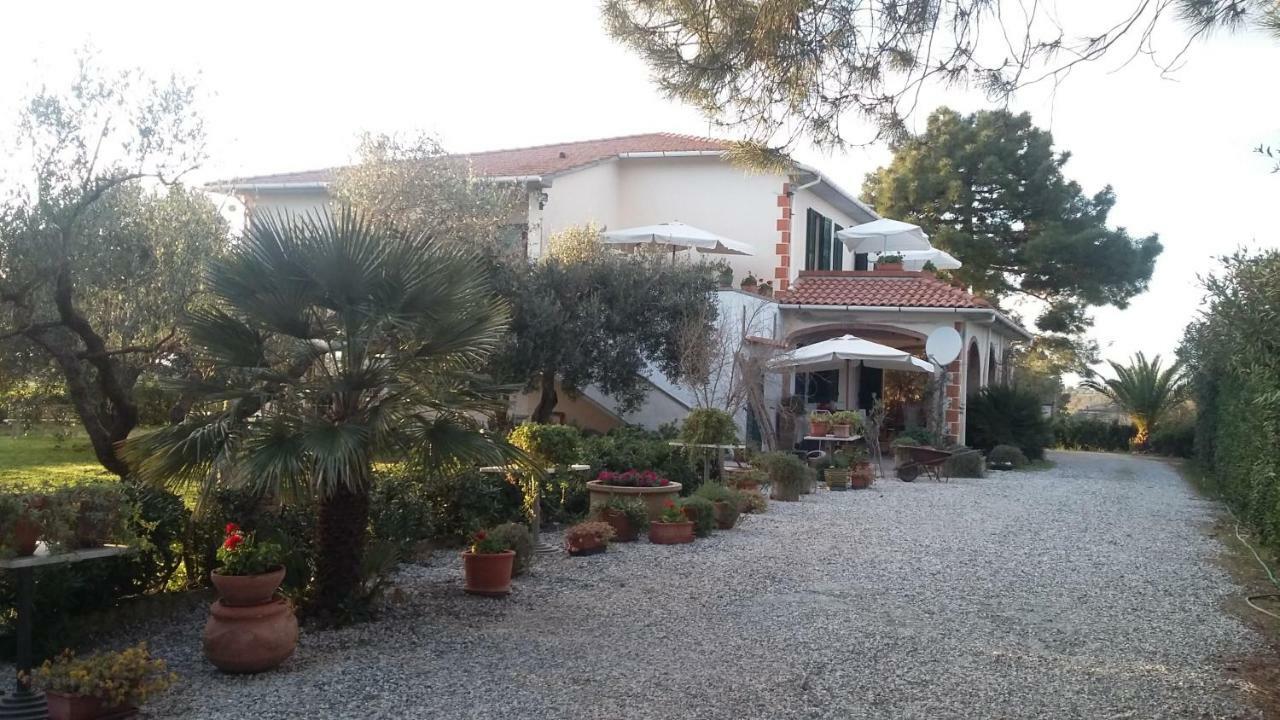 Campo Alle More Cecina  Luaran gambar