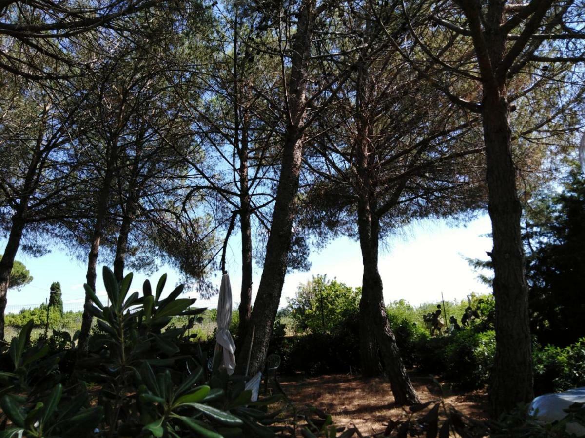 Campo Alle More Cecina  Luaran gambar